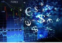 Top Forex Brokers in India Review