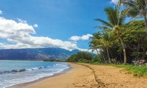 Real Estate Tips: 3 Costs to be Aware of if Planning to Live in Kauai, Hawaii