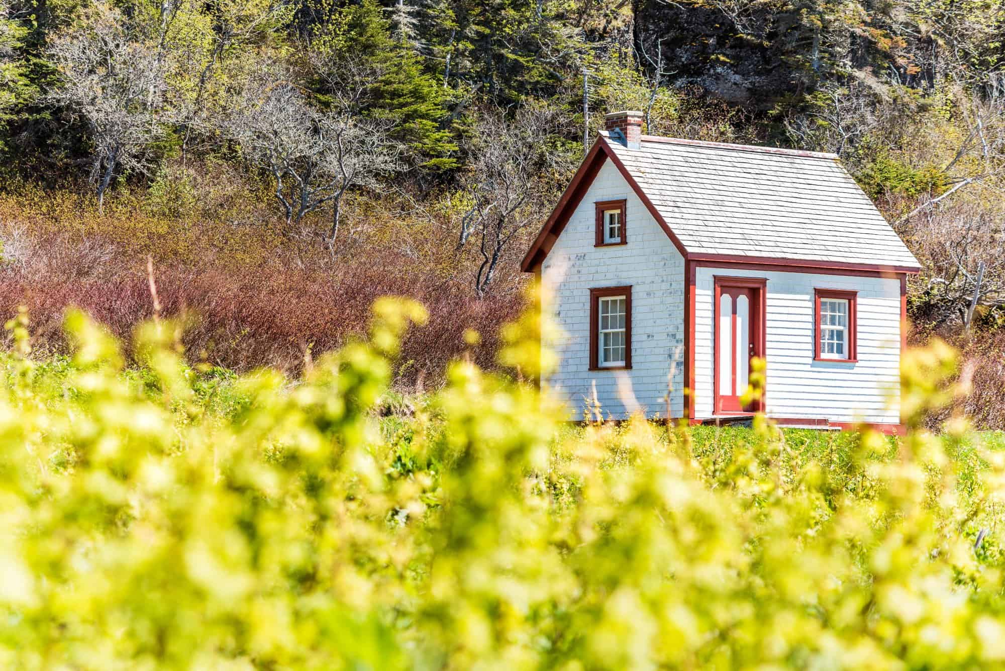 how-can-you-design-a-tiny-home-office