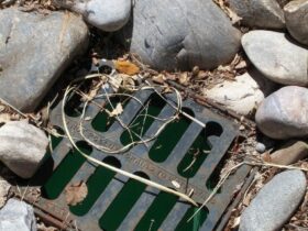 Unclogging Drains