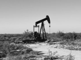 Oil Producer